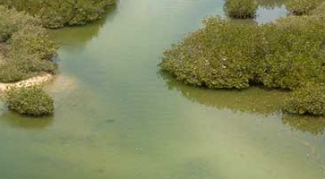 Découvrez nos Circuits Sénégal -voyage-TUI