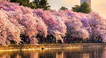 Découvrez nos Circuits Etats-Unis-Est -voyage-TUI