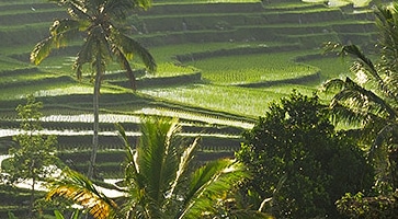 Découvrez nos Circuits Indonesie -voyage-TUI