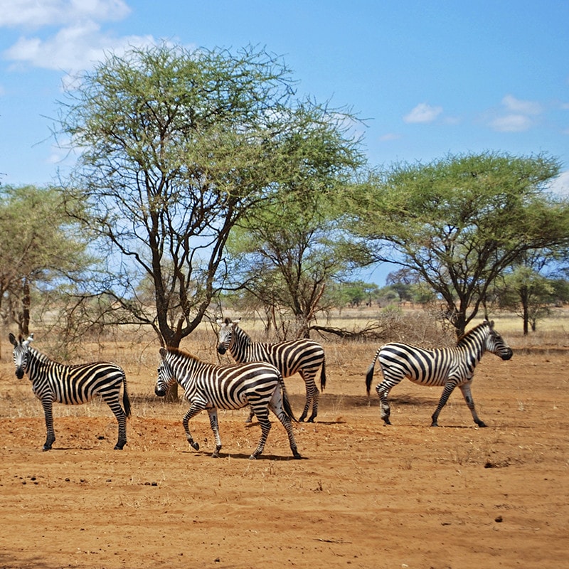 Kenya