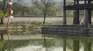 Découvrez nos Circuits Corée du Sud -voyage-TUI