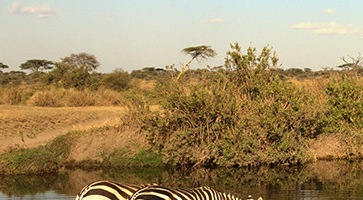 Découvrez nos Circuits Tanzanie -voyage-TUI
