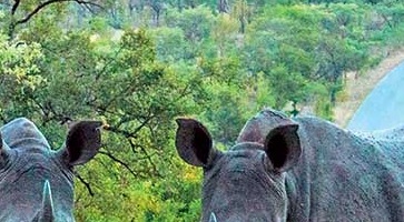 Découvrez nos Circuits Afrique du Sud -voyage-TUI