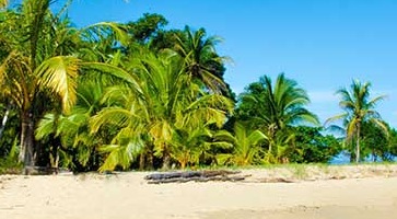 Découvrez nos Séjours Costa Rica -voyage-TUI