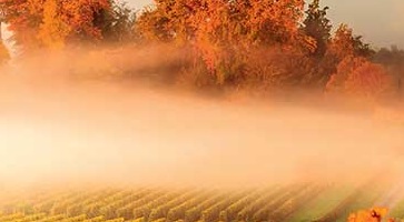 Découvrez nos Circuits France -voyage-TUI