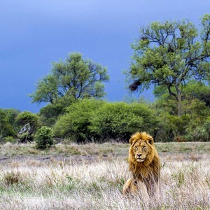 Voyage Afrique du Sud - TUI
