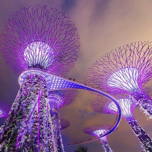 Voyage Singapour - TUI