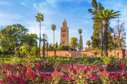 Voyage au Maroc - TUI
