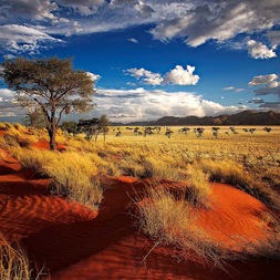 Les voyages de luxe TUI Namibie - TUI