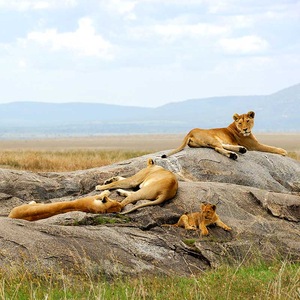 Voyage Tanzanie - TUI