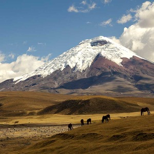 Voyage Equateur - TUI