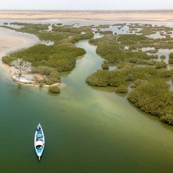 Les séjours en hôtel de charme TUI Sénégal - TUI