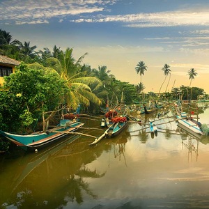 Voyage Sri Lanka - TUI