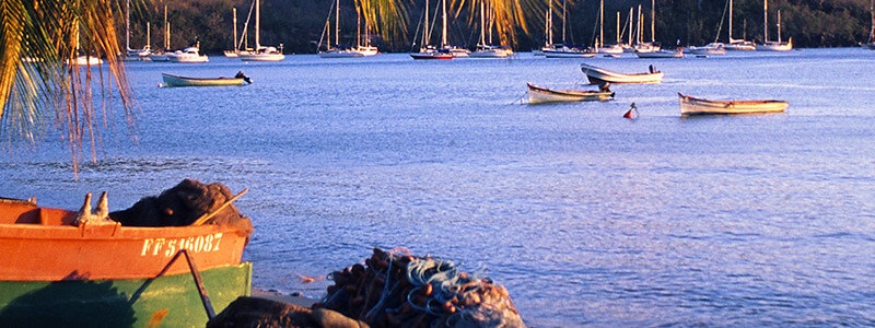 Voyage à la Martinique - TUI