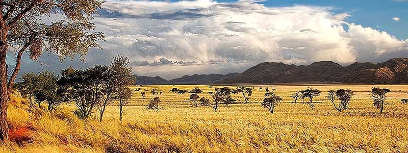 Voyage en Namibie - TUI