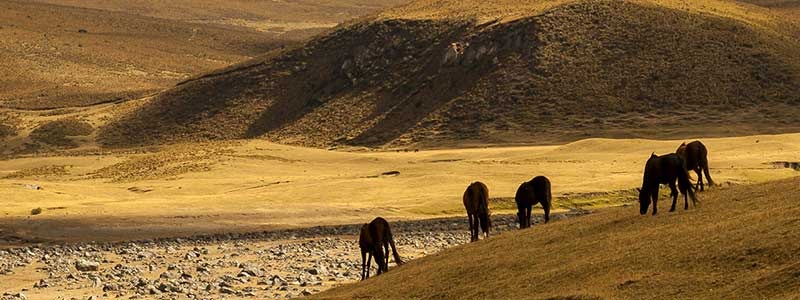 Voyage en Equateur - TUI