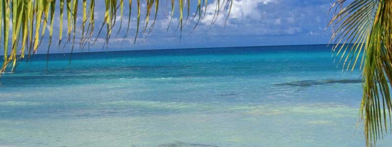 Voyage à Aruba - TUI