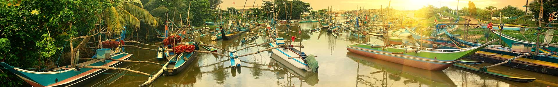 Voyage au Sri Lanka - TUI