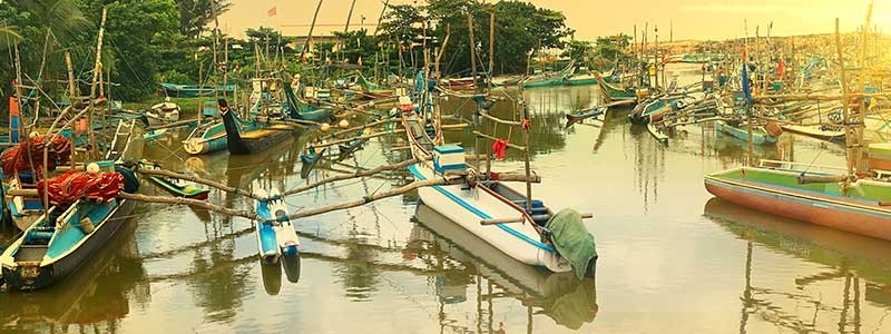 Voyage au Sri Lanka - TUI