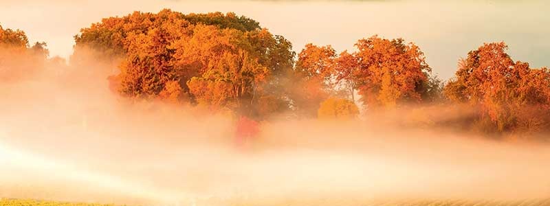 Voyage en France - TUI