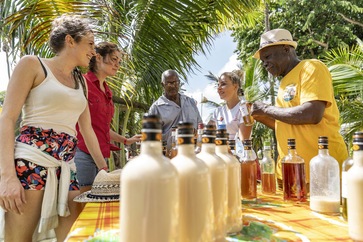 La journée Tropicool