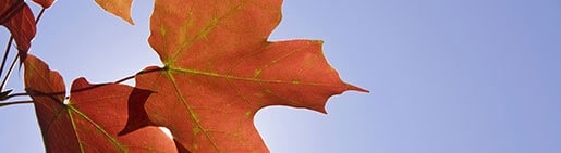 Ou-partir-en-automne-tui