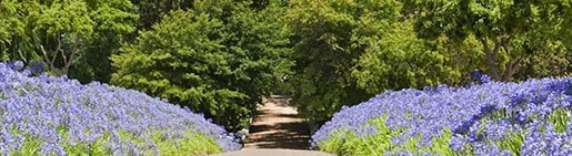 vacances-de-printemps-tui