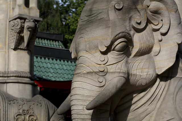 Vol Berlin - Zoo - TUI