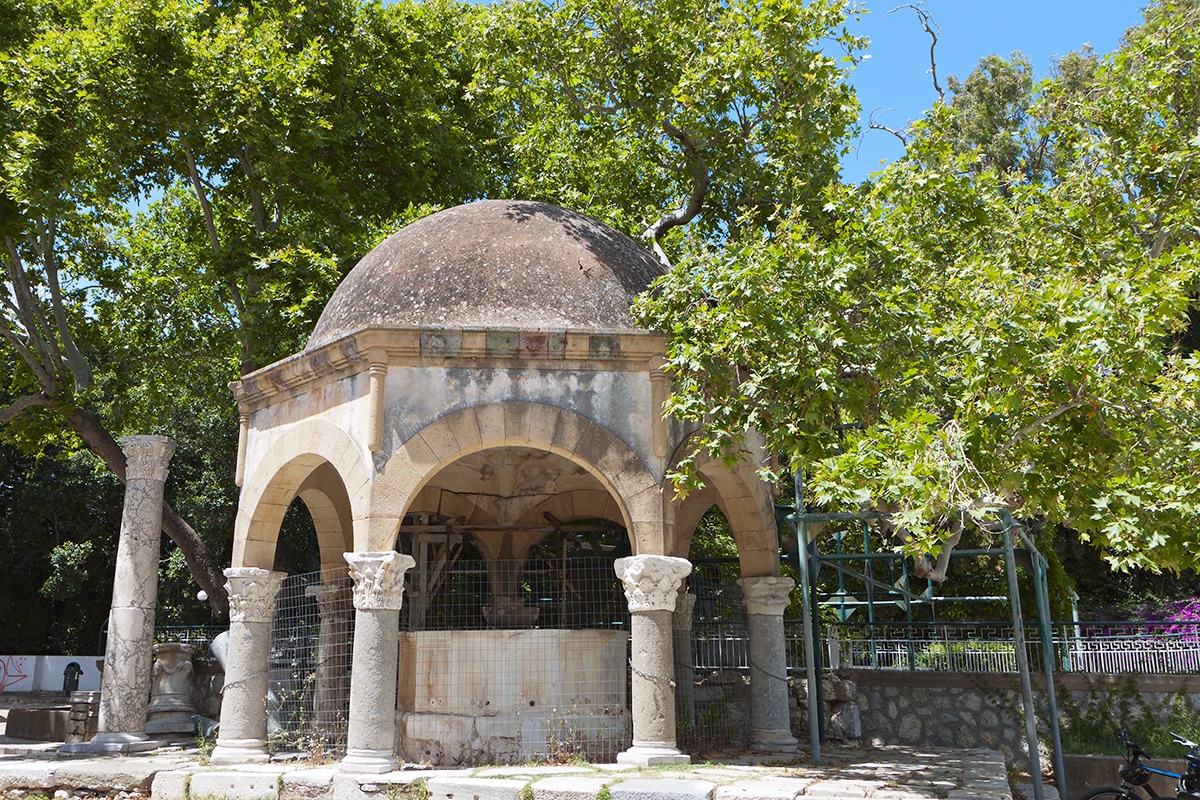 Vol Kos - L'arbre d'Hippocrate - TUI