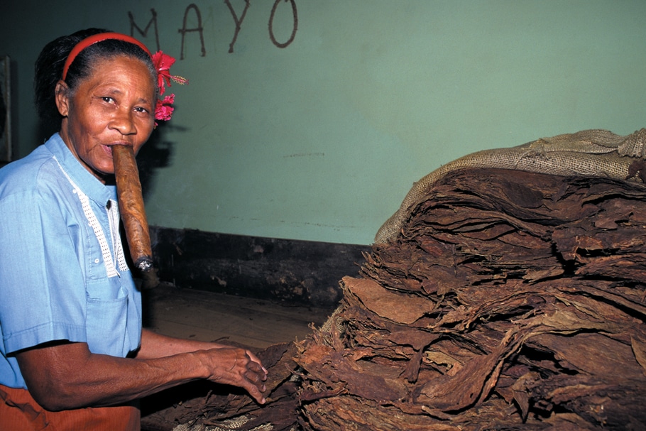 Vol La Havane - Fabrica Partagas - TUI