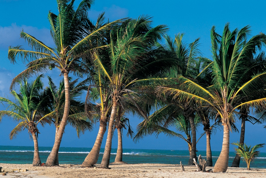 Vol Pointe à Pitre - Plages - TUI