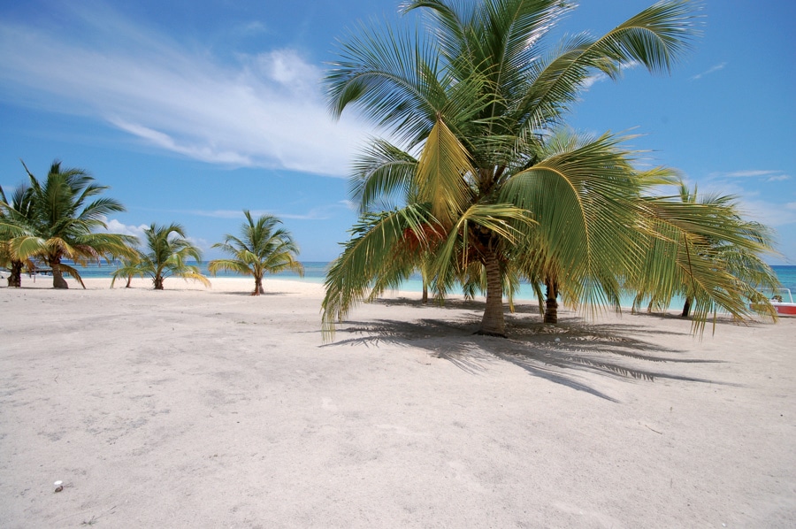 Vol Punta Cana - Isla Saona - TUI