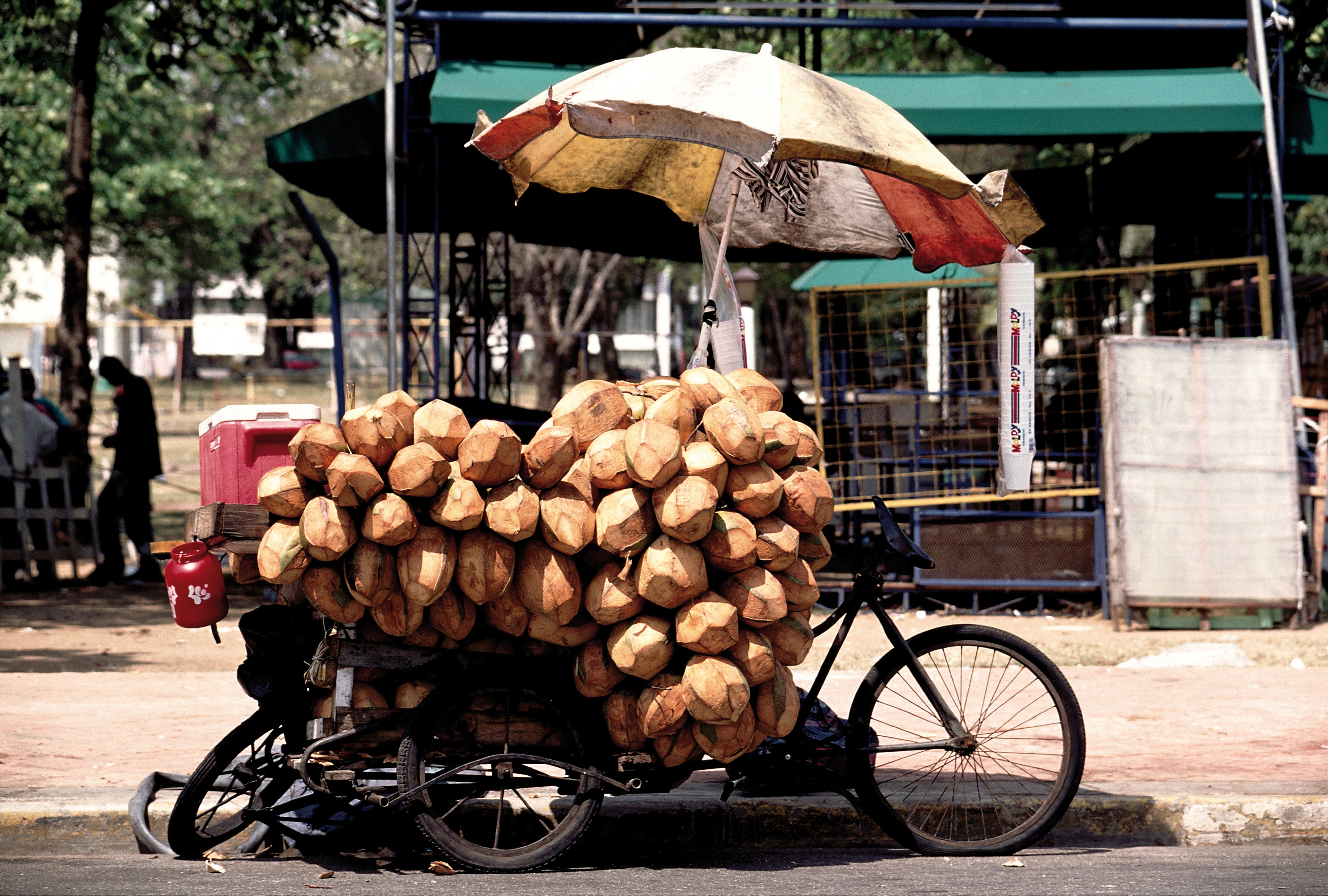 Vol Saint Domingue - Casa Reales - TUI